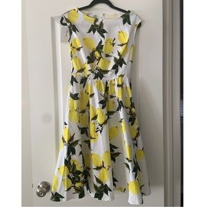 ⚠️SOLD⚠️ LEMON PRINT DRESS (SMALL) 🍋